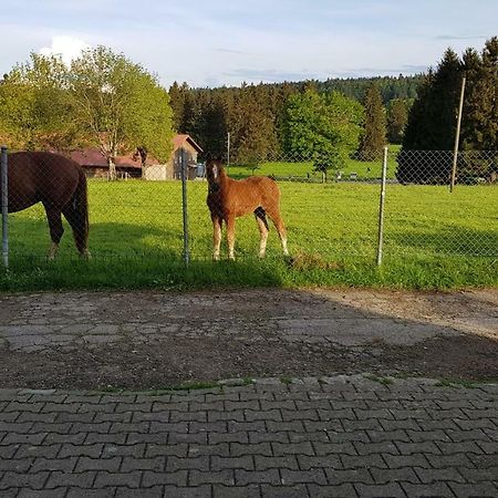 "Sous Les Barres" Lägenhet Montfaucon Exteriör bild