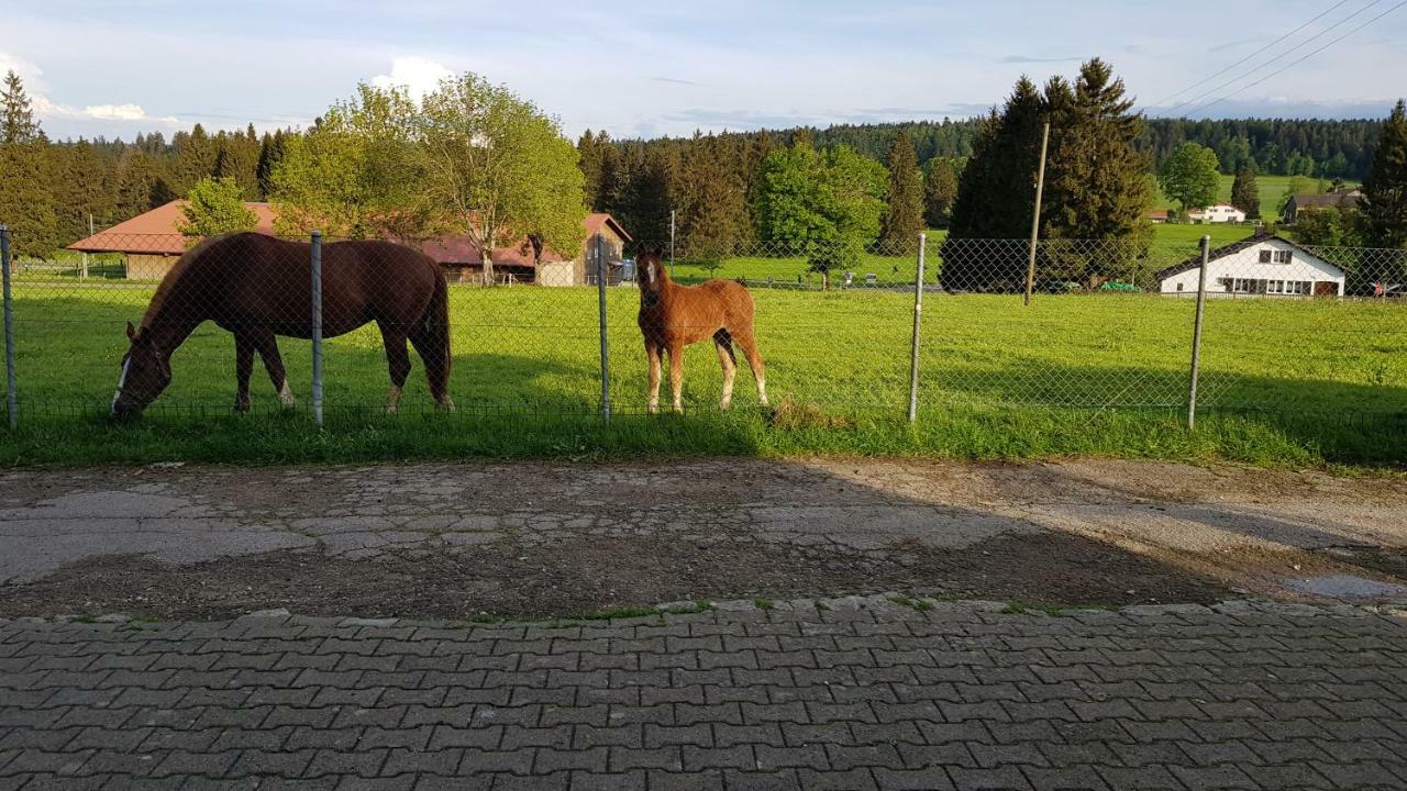 "Sous Les Barres" Lägenhet Montfaucon Exteriör bild